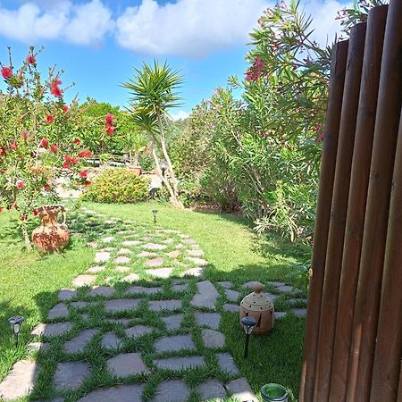 Villa Saige , Piscina Ad Uso Esclusivo, Con Idromassaggio Alghero Exteriér fotografie
