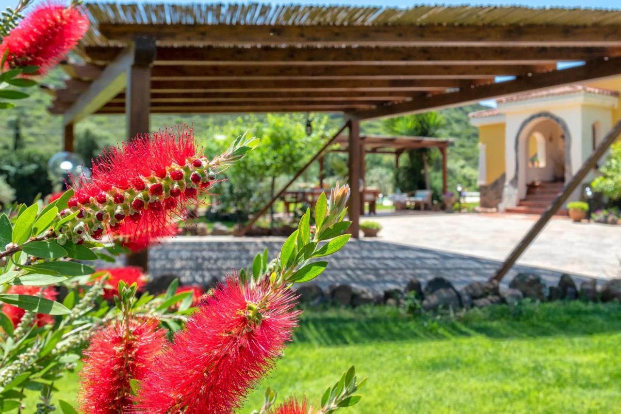 Villa Saige , Piscina Ad Uso Esclusivo, Con Idromassaggio Alghero Exteriér fotografie